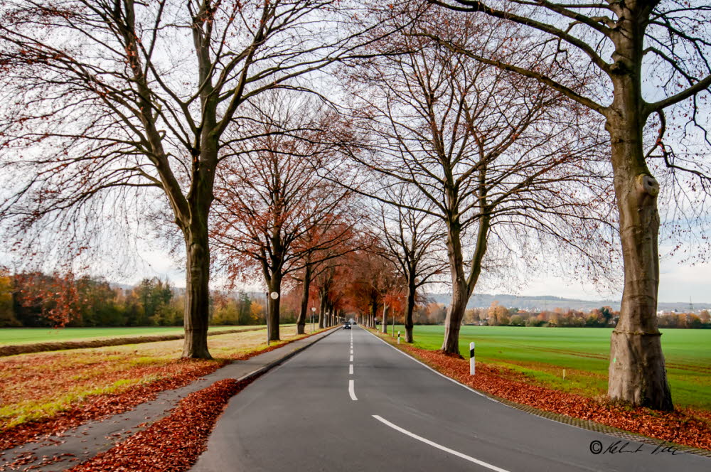2021 Harz-Goslar_21