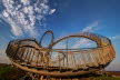 Tiger & Turtle I