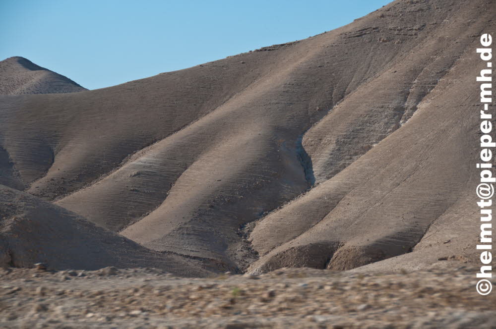 DSC_3111a