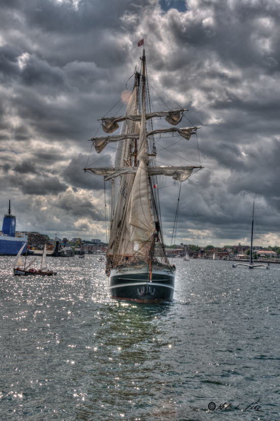 DSC_3461_tone