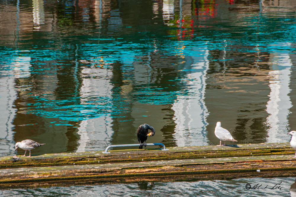 Binnenalster