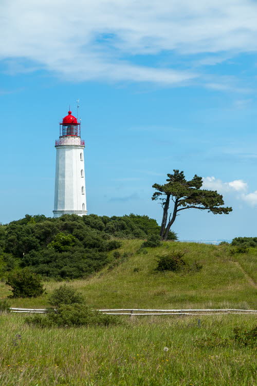 Leuchtturm auf Hiddensee