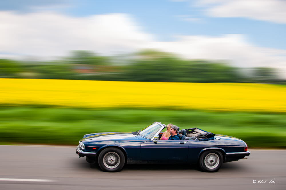 _DSC3948-Verbessert-RR-Bearbeitet